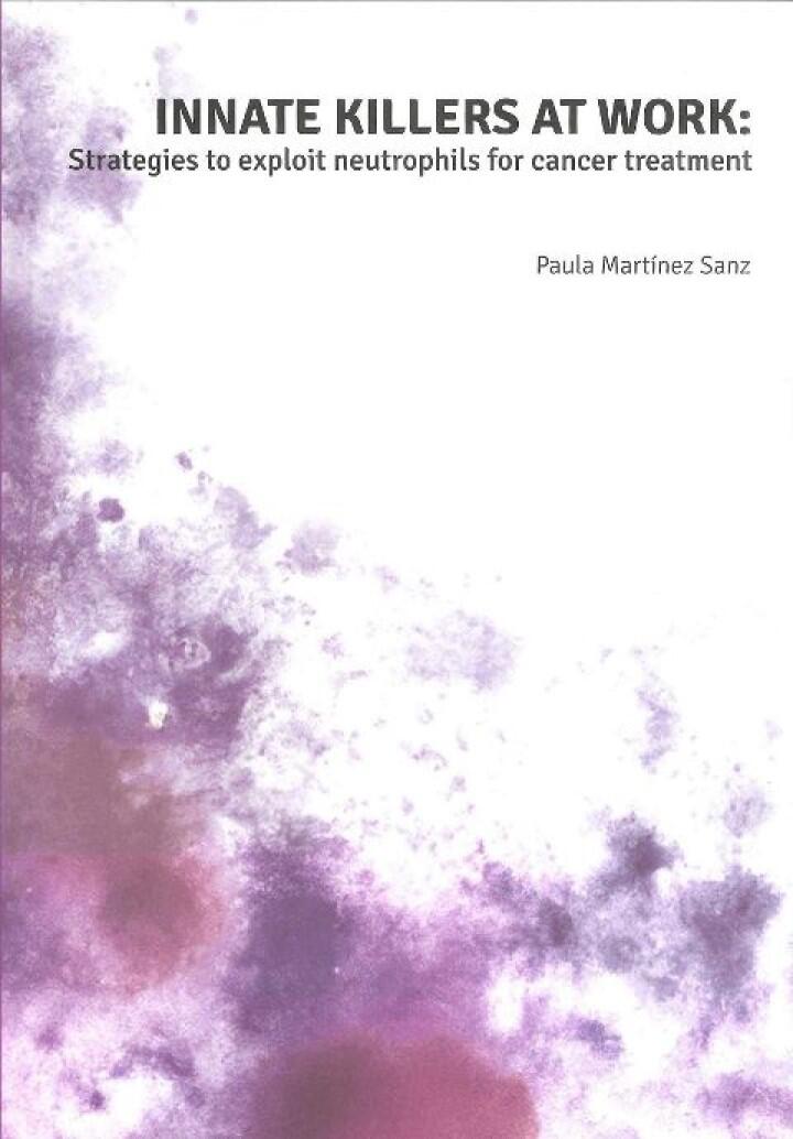 Thesis Paula Martinez Sanz