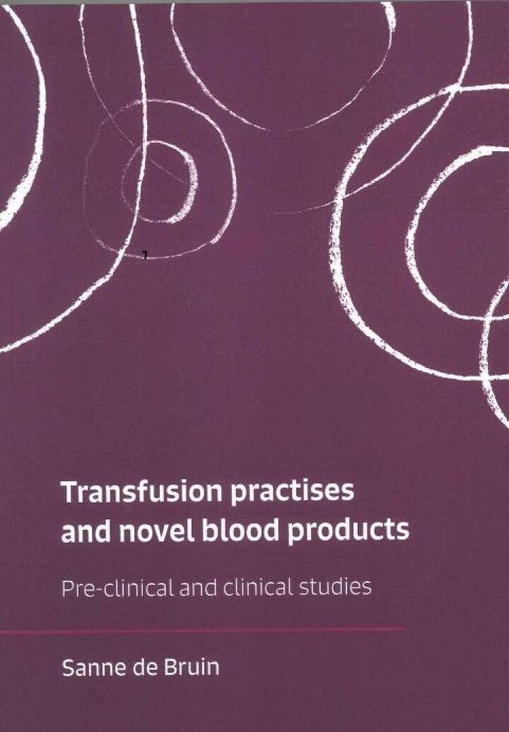 Thesis Sanne de Bruin
