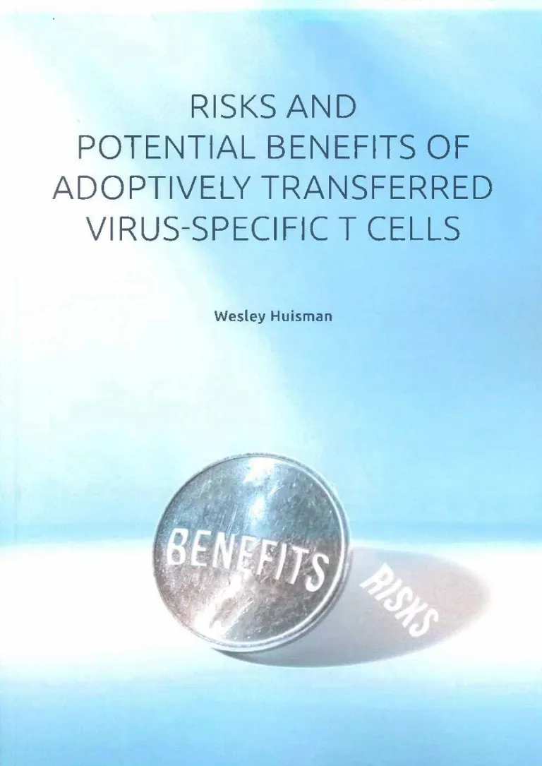 Cover thesis Wesley Huisman