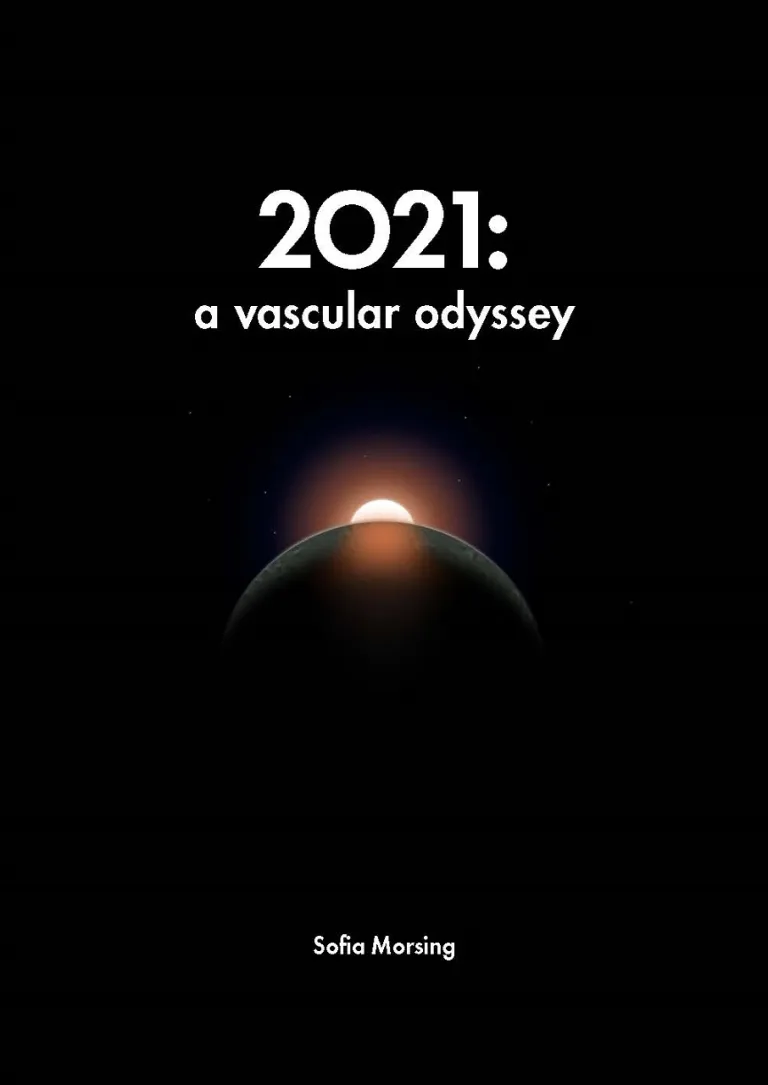 Cover thesis Sofia Morsing