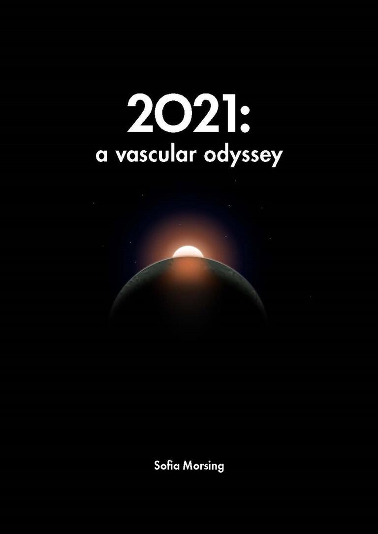 Cover thesis Sofia Morsing