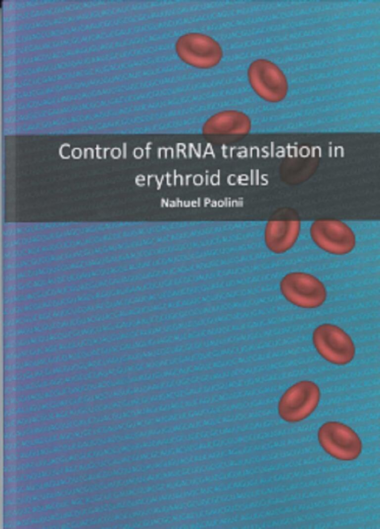 Cover Thesis Nahuel Paolini