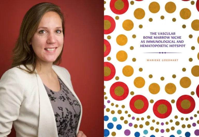 Cover thesis Marieke Goedhart