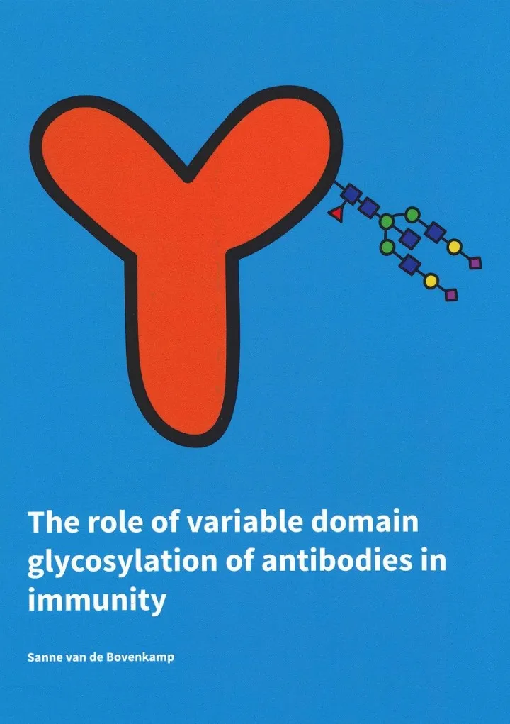 Thesis Sanne van de Bovenkamp