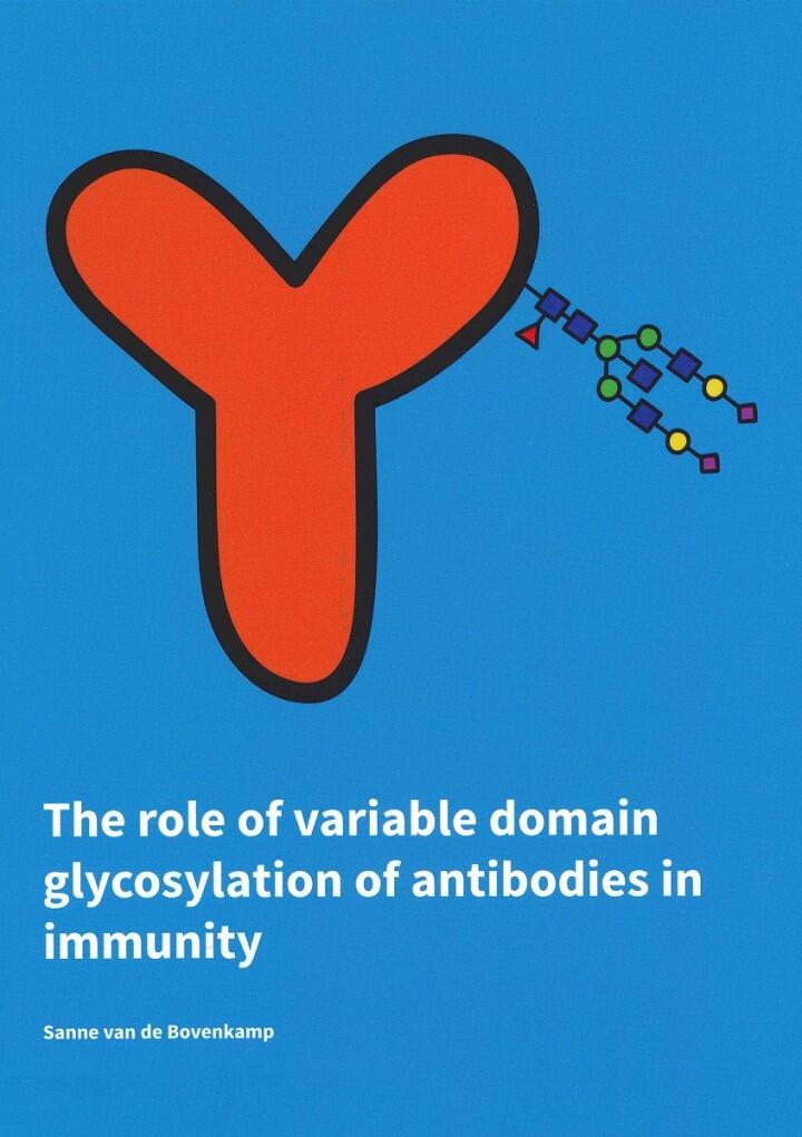 Thesis Sanne van de Bovenkamp