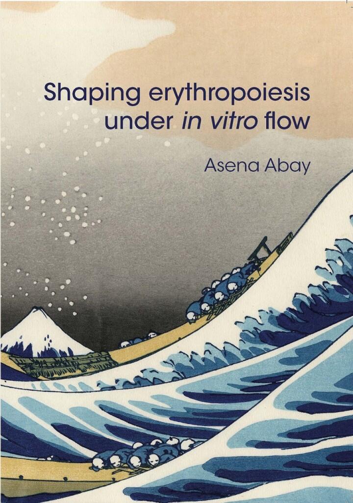 Cover thesis Asena Abay