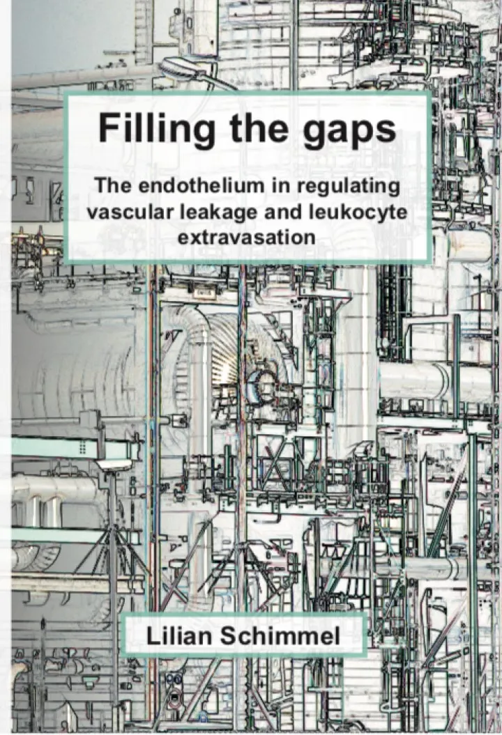 Cover thesis Lilian Schimmel