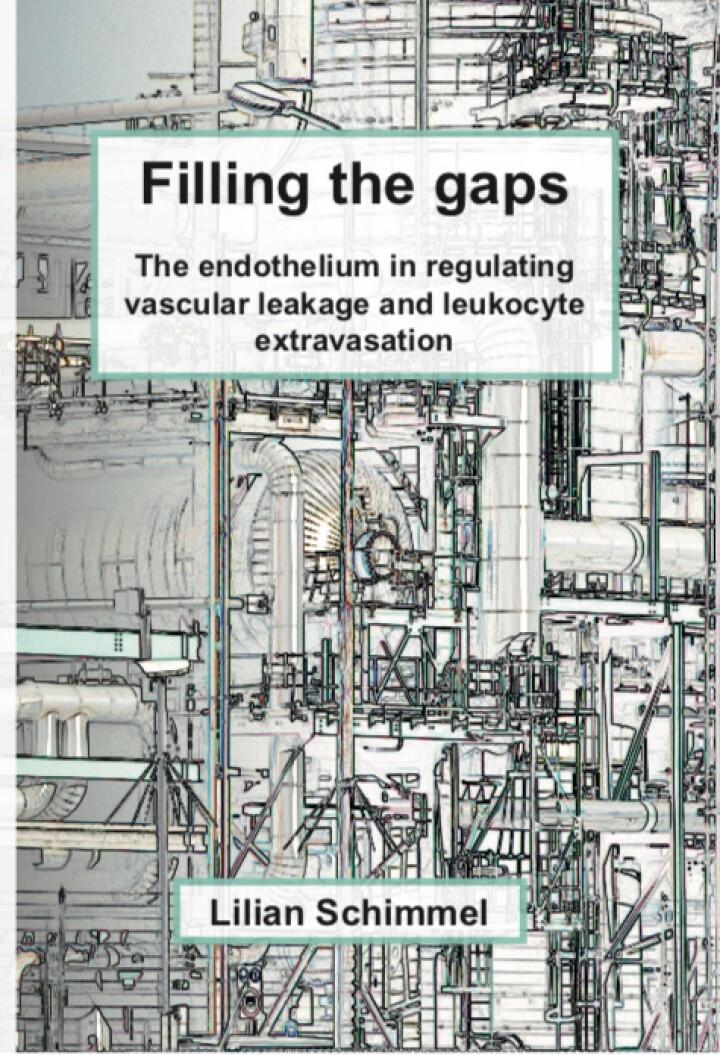 Cover thesis Lilian Schimmel