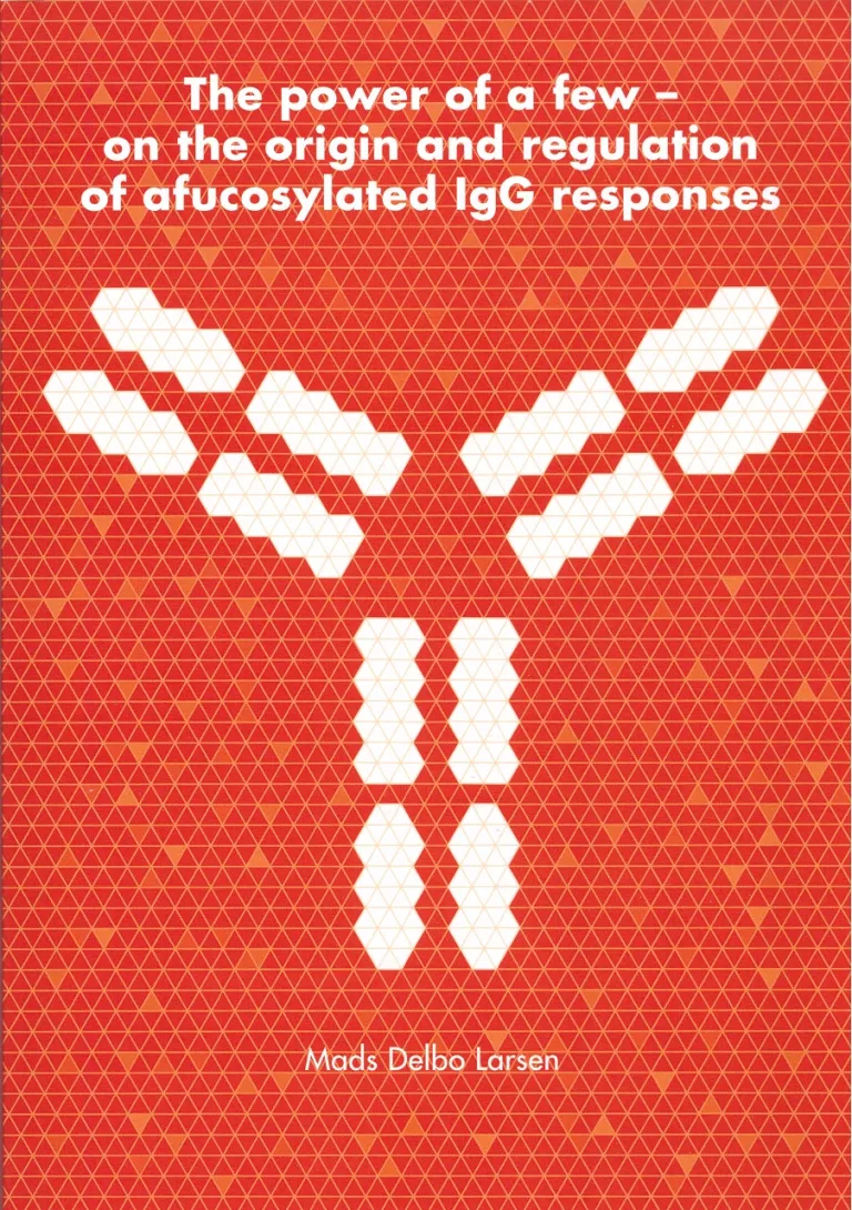 Cover thesis Mads Delbo Larsen