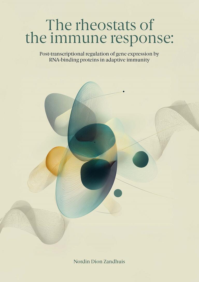 Cover thesis Nordin Zandhuis