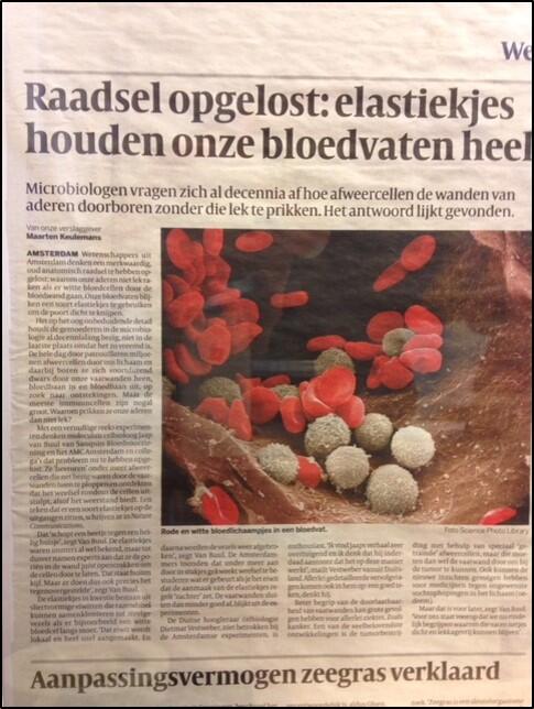 Our science in the media