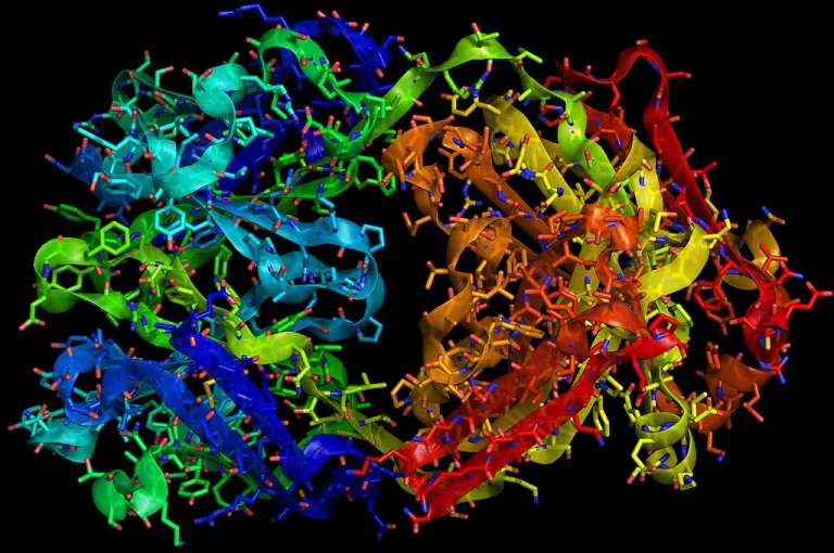 ghk cu immunogenicity antibodies neutralizing Anti-drug may intrinsically be Mitochondrial Peptides: What Does