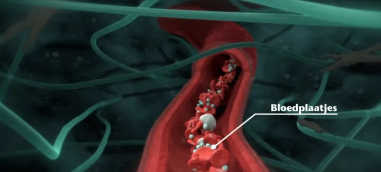 Video still bloedplaatjes